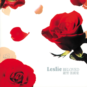 高清91传媒视频在线观看
