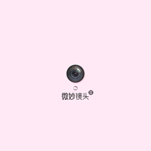 高清91传媒视频在线观看
