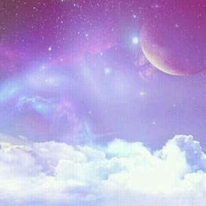 高清91传媒视频在线观看
