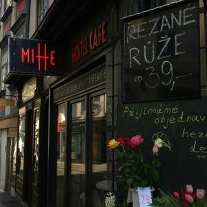 高清91传媒视频在线观看
