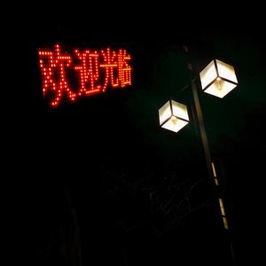 高清91传媒视频在线观看
